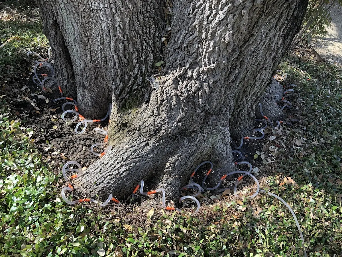 Detailed Shrub and Hedge Trimming job site in Lawler