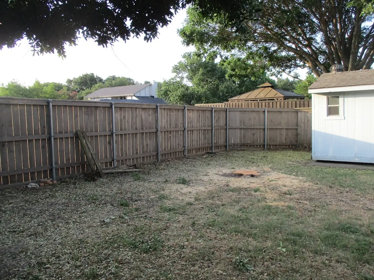 Cleared yard after professional tree removal in Lawler